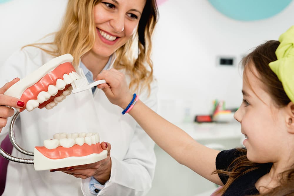 Dentist showing child model of teeth